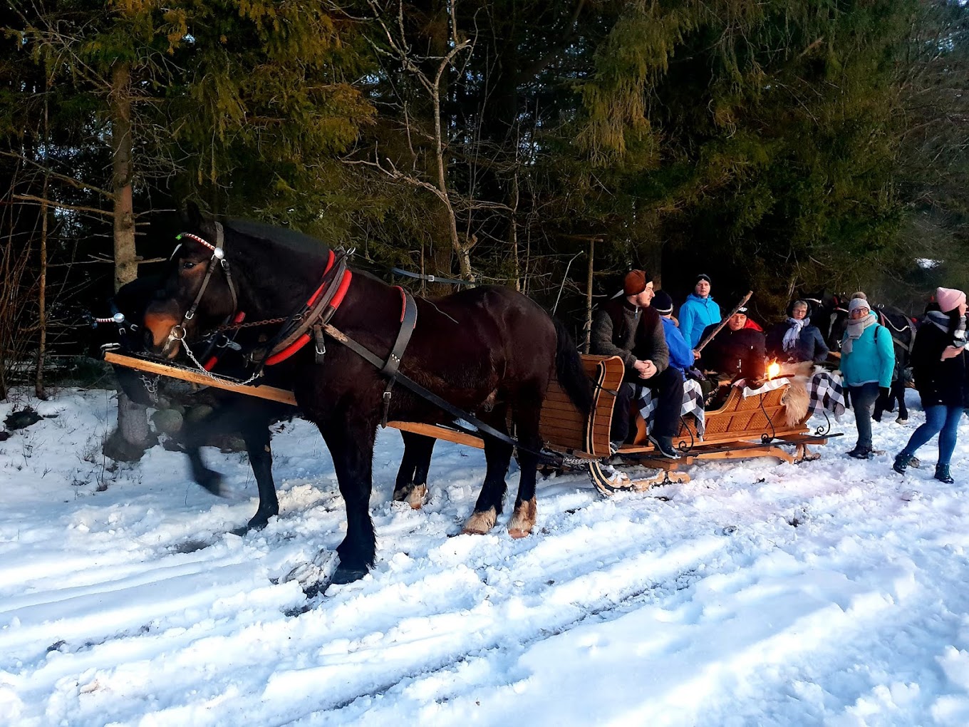 323227914_1327173768029953_1158987919224049574_n