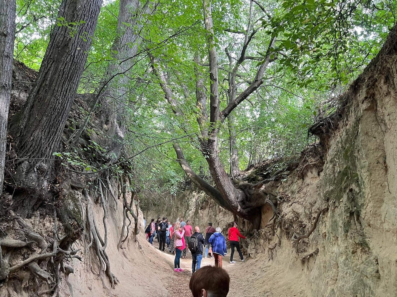 325314593_887918455726507_6680980341973505546_n